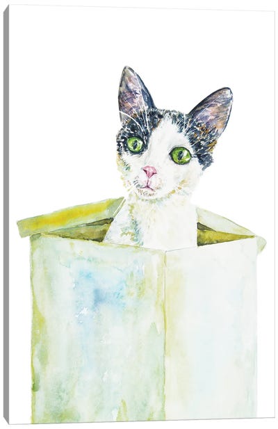 Funny Cat In The Box Canvas Art Print - Alexey Dmitrievich Shmyrov