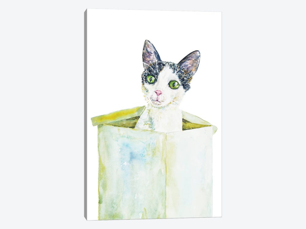 Funny Cat In The Box by Alexey Dmitrievich Shmyrov 1-piece Canvas Artwork
