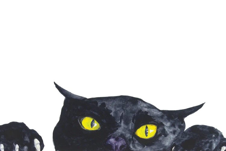Funny Peeking Black Cat