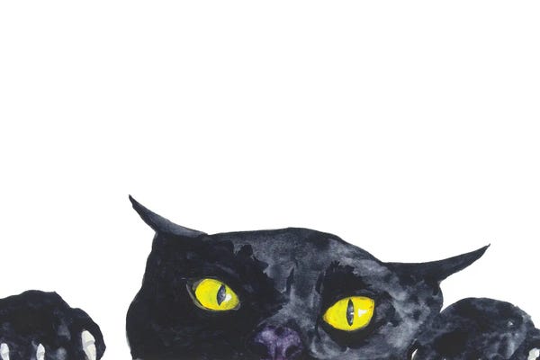 Funny Peeking Black Cat