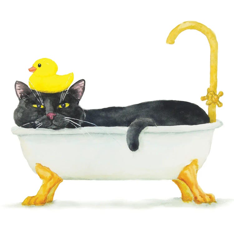 Bathing Black Cat