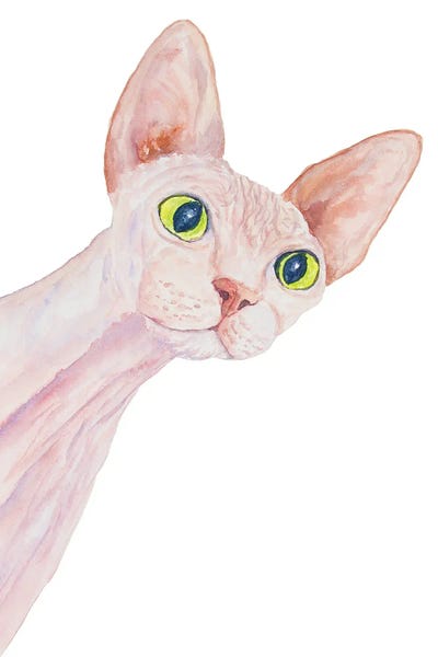Funny Sphinx Cat by Alexey Dmitrievich Shmyrov framed wall art