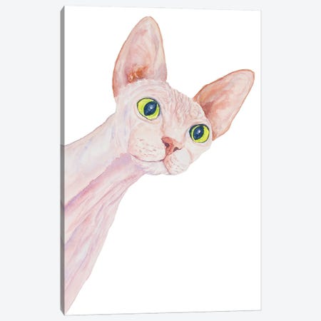 Funny Sphinx Cat Canvas Print #AXS30} by Alexey Dmitrievich Shmyrov Canvas Art Print