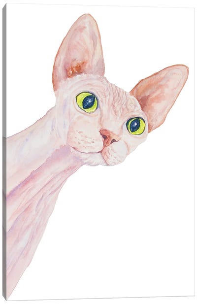 Funny Sphinx Cat Canvas Art Print - Hairless Cats