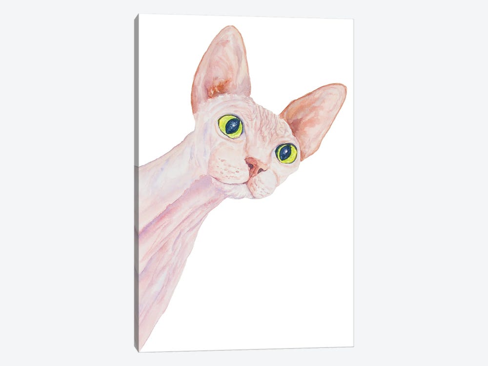 Funny Sphinx Cat by Alexey Dmitrievich Shmyrov 1-piece Canvas Print