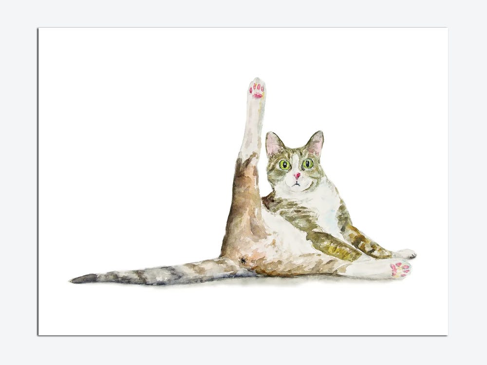 Funny yoga art, Yoga with cat, Wine lover, Woman doing yoga and