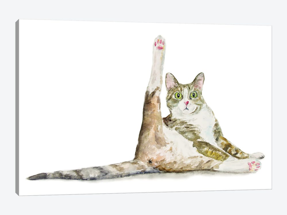 Funny Yoga Cat Canvas Art by Alexey Dmitrievich Shmyrov