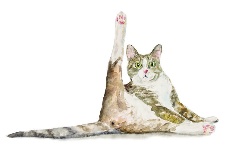 Funny Yoga Cat