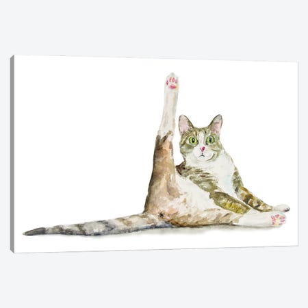 Funny Yoga Cat Canvas Print #AXS31} by Alexey Dmitrievich Shmyrov Art Print