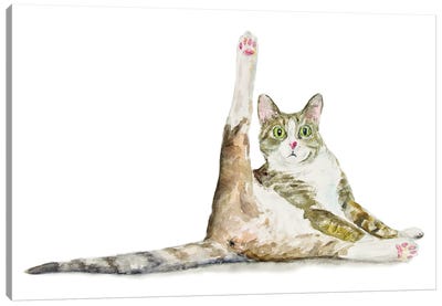 Funny Yoga Cat Canvas Art Print - Alexey Dmitrievich Shmyrov