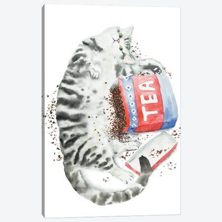 Gray Tabby Cat And Tea Canvas Print #AXS32} by Alexey Dmitrievich Shmyrov Canvas Art Print