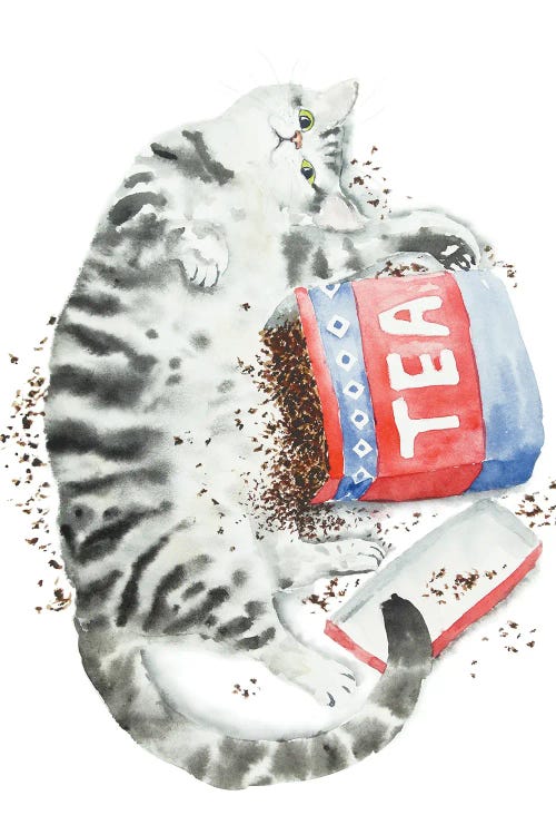 Gray Tabby Cat And Tea