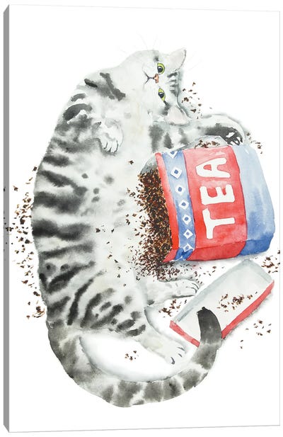 Gray Tabby Cat And Tea Canvas Art Print - Alexey Dmitrievich Shmyrov
