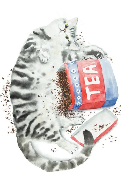 Tabbies: Gray Tabby Cat And Tea by Alexey Dmitrievich Shmyrov