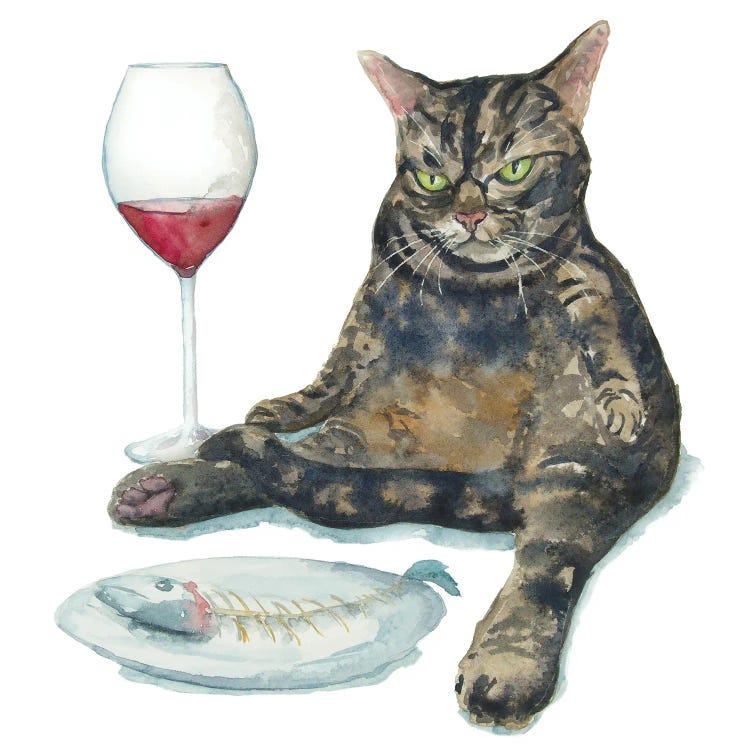 Grumpy Tabby Cat