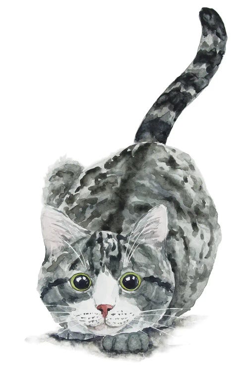 Hunting Tabby Cat