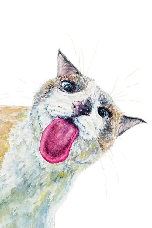 Funny Peeking Cat