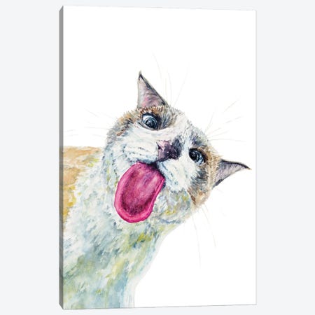 Funny Peeking Cat Canvas Print #AXS36} by Alexey Dmitrievich Shmyrov Canvas Artwork
