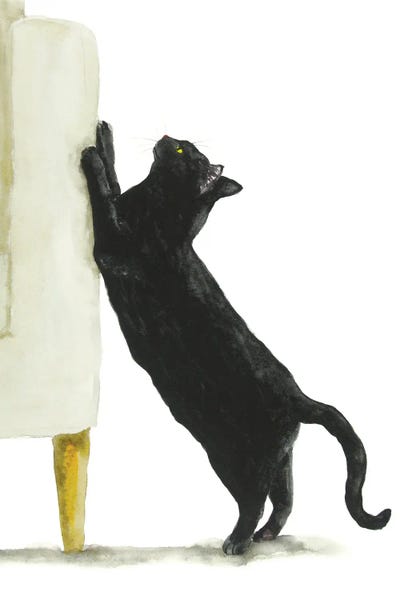 Bad Black Cat by Alexey Dmitrievich Shmyrov canvas print