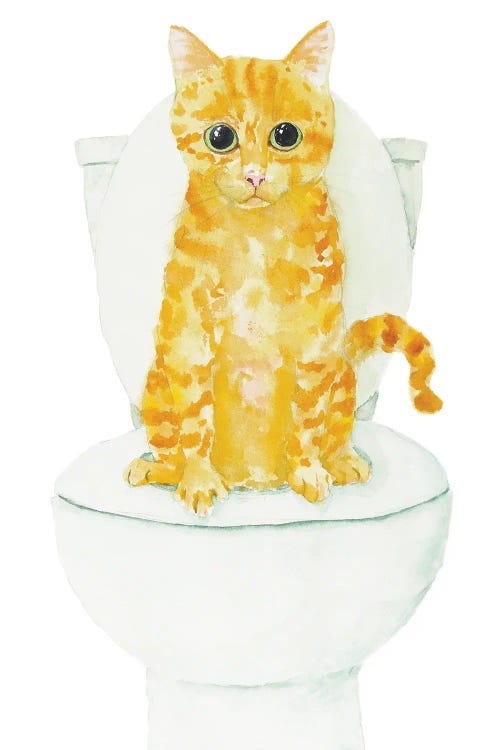 Orange Cat On The Toilet