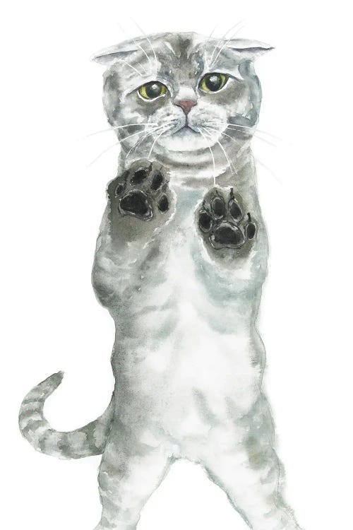 Let Me In!