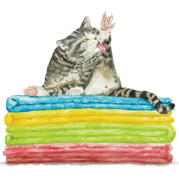 Bathing Tabby Cat