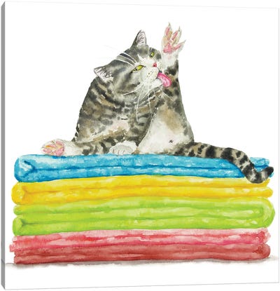 Bathing Tabby Cat Canvas Art Print - Tabby Cat Art
