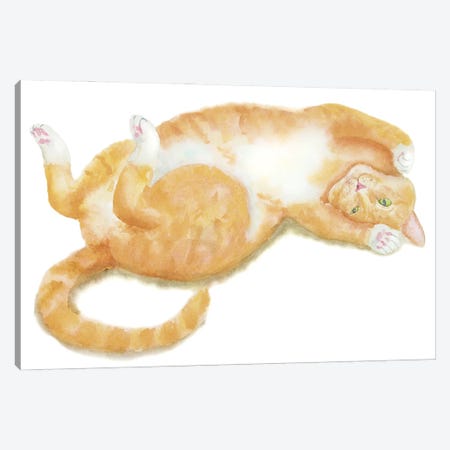 Lying Orange Cat Canvas Print #AXS41} by Alexey Dmitrievich Shmyrov Canvas Artwork