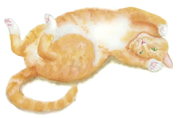 Orange Cats: Lying Orange Cat by Alexey Dmitrievich Shmyrov