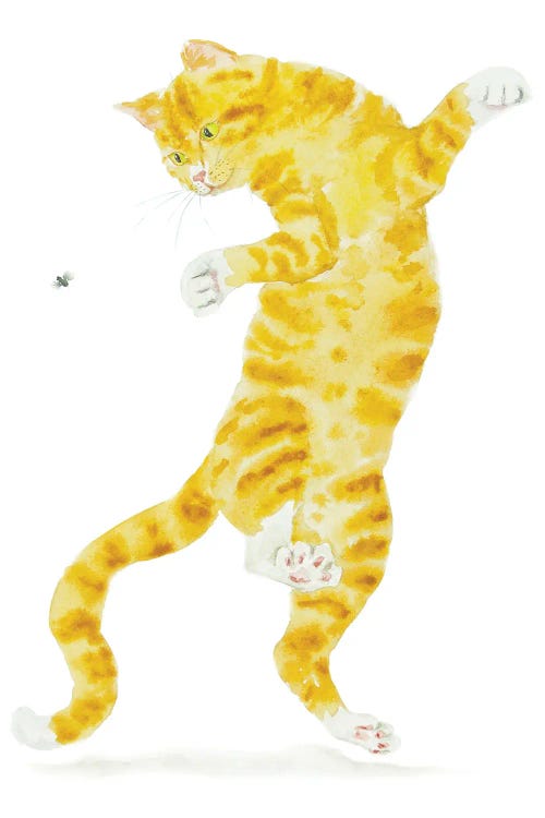 Orange Cat And Fly