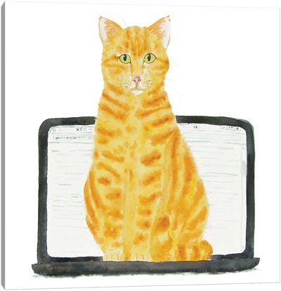 Orange Cat On Laptop Canvas Art Print - Office Humor