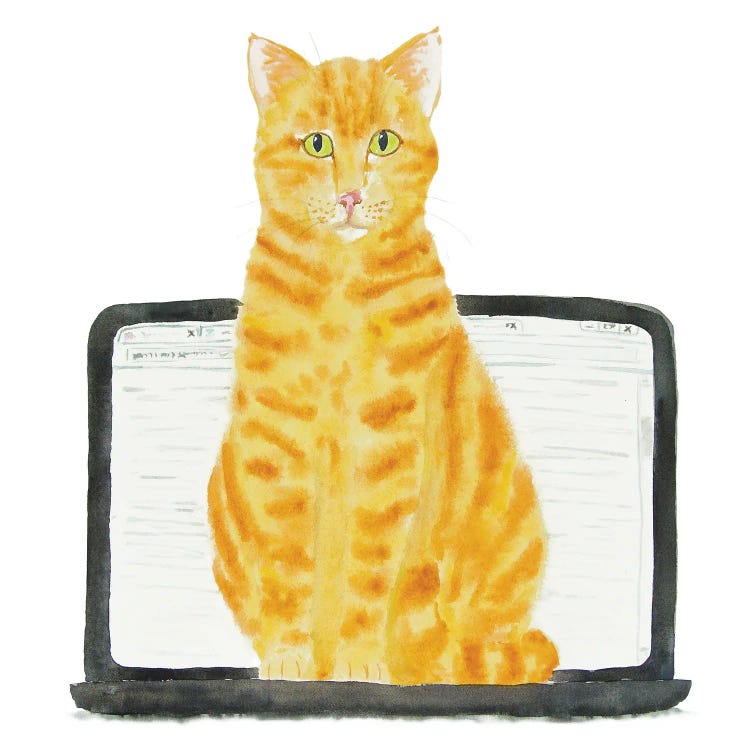 Orange Cat On Laptop