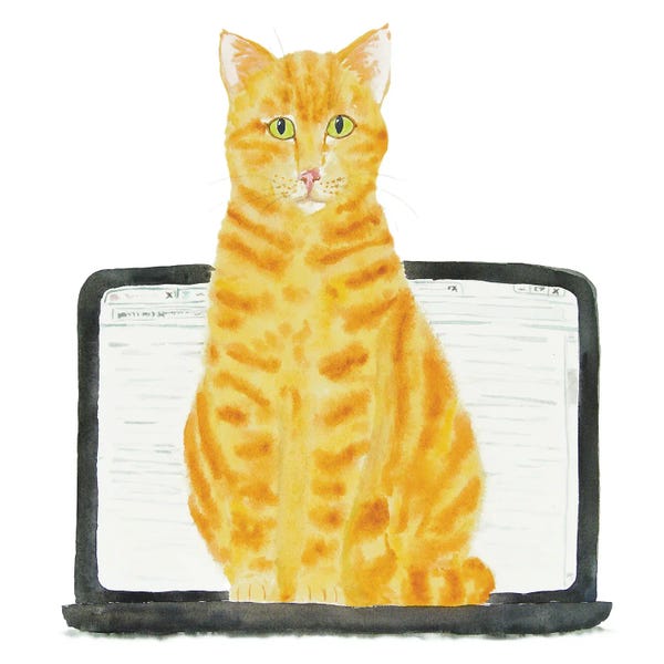 Orange Cat On Laptop