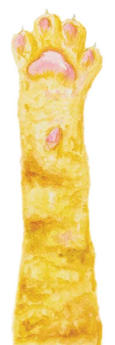 Orange Cat Paw by Alexey Dmitrievich Shmyrov canvas print