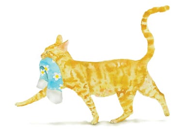 Orange Cat With Sock by Alexey Dmitrievich Shmyrov framed wall art