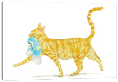 Orange Cat With Sock Canvas Art Print - Laundry Room Art