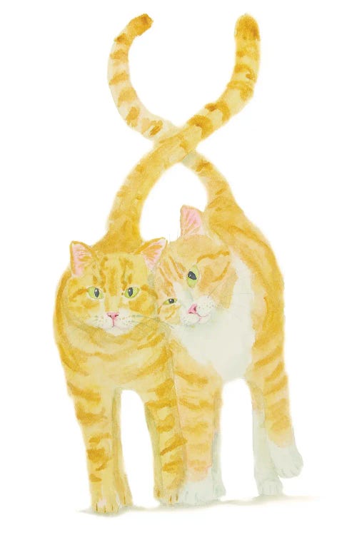 Orange Cats Couple