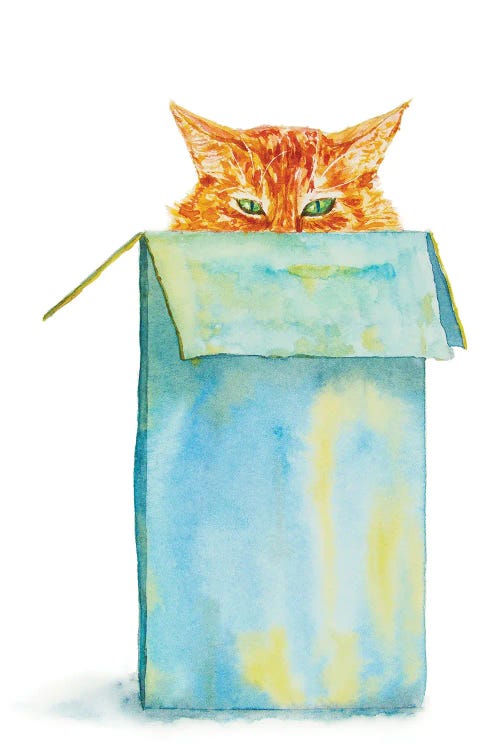Orange Tricky Cat In The Box