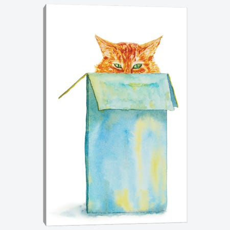 Orange Tricky Cat In The Box Canvas Print #AXS49} by Alexey Dmitrievich Shmyrov Canvas Wall Art