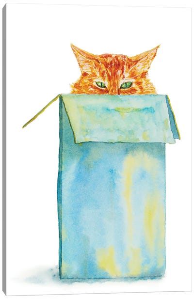 Orange Tricky Cat In The Box Canvas Art Print - Orange Cat Art
