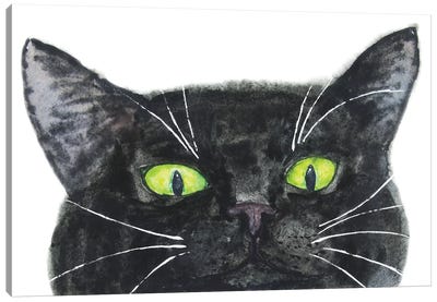 Peeking Black Cat Canvas Art Print - Alexey Dmitrievich Shmyrov