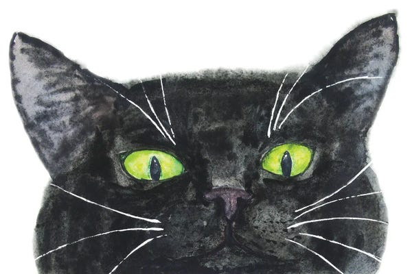 Black Cats: Peeking Black Cat by Alexey Dmitrievich Shmyrov