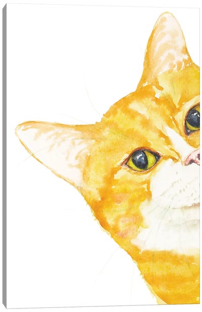 Peeking Orange Cat Canvas Art Print - Orange Cat Art