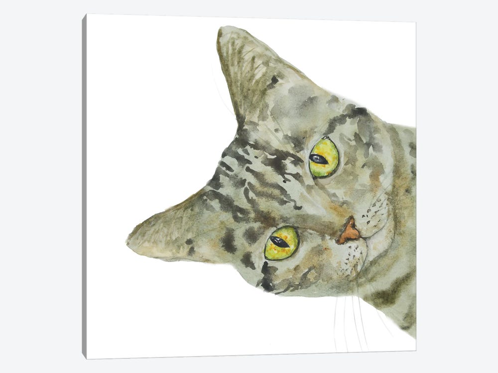 Peeking Tabby Cat by Alexey Dmitrievich Shmyrov 1-piece Canvas Art Print