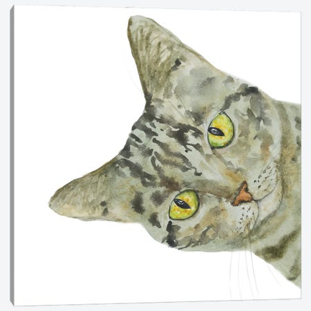 Peeking Tabby Cat Canvas Print #AXS52} by Alexey Dmitrievich Shmyrov Art Print