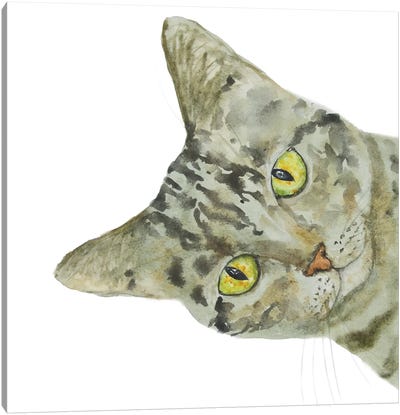 Peeking Tabby Cat Canvas Art Print - Alexey Dmitrievich Shmyrov