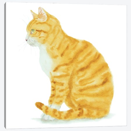 Sitting Orange Cat Canvas Print #AXS53} by Alexey Dmitrievich Shmyrov Canvas Art Print