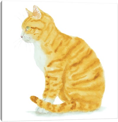 Sitting Orange Cat Canvas Art Print - Alexey Dmitrievich Shmyrov