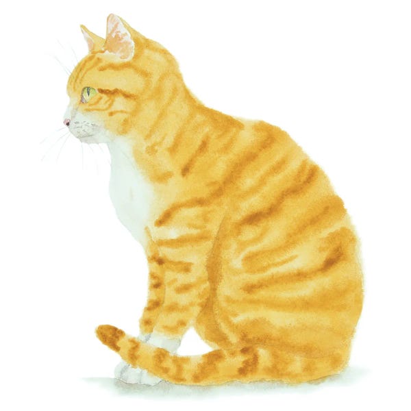 Orange Cats: Sitting Orange Cat by Alexey Dmitrievich Shmyrov