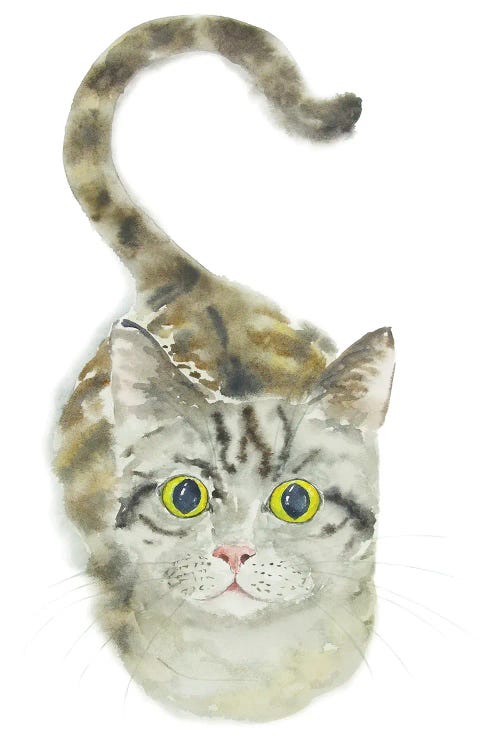 Sitting Tabby Cat